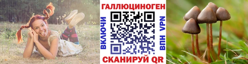 где продают   Холм  KRAKEN сайт  Псилоцибиновые грибы Psilocybe 