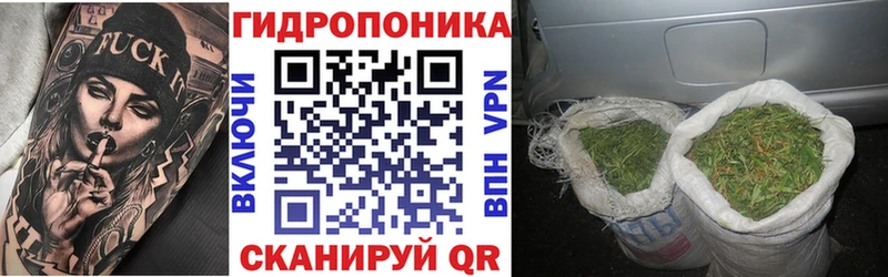 Бошки Шишки VHQ  хочу   Холм 